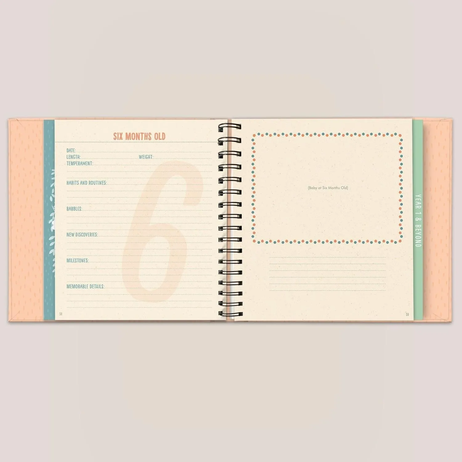 Jujube Bundle of Joy Guided Journal