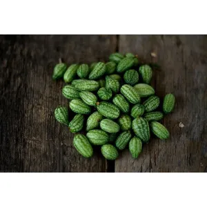 Mexican Sour Gherkin Cucumber (Heirloom, 75 Days)
