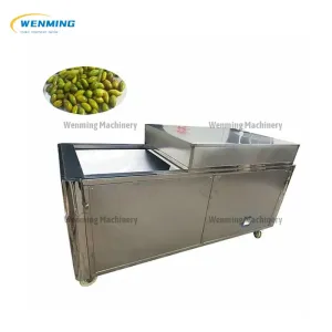 Professional automatic Dried fruit pitting machine &nbsp;good price for sale