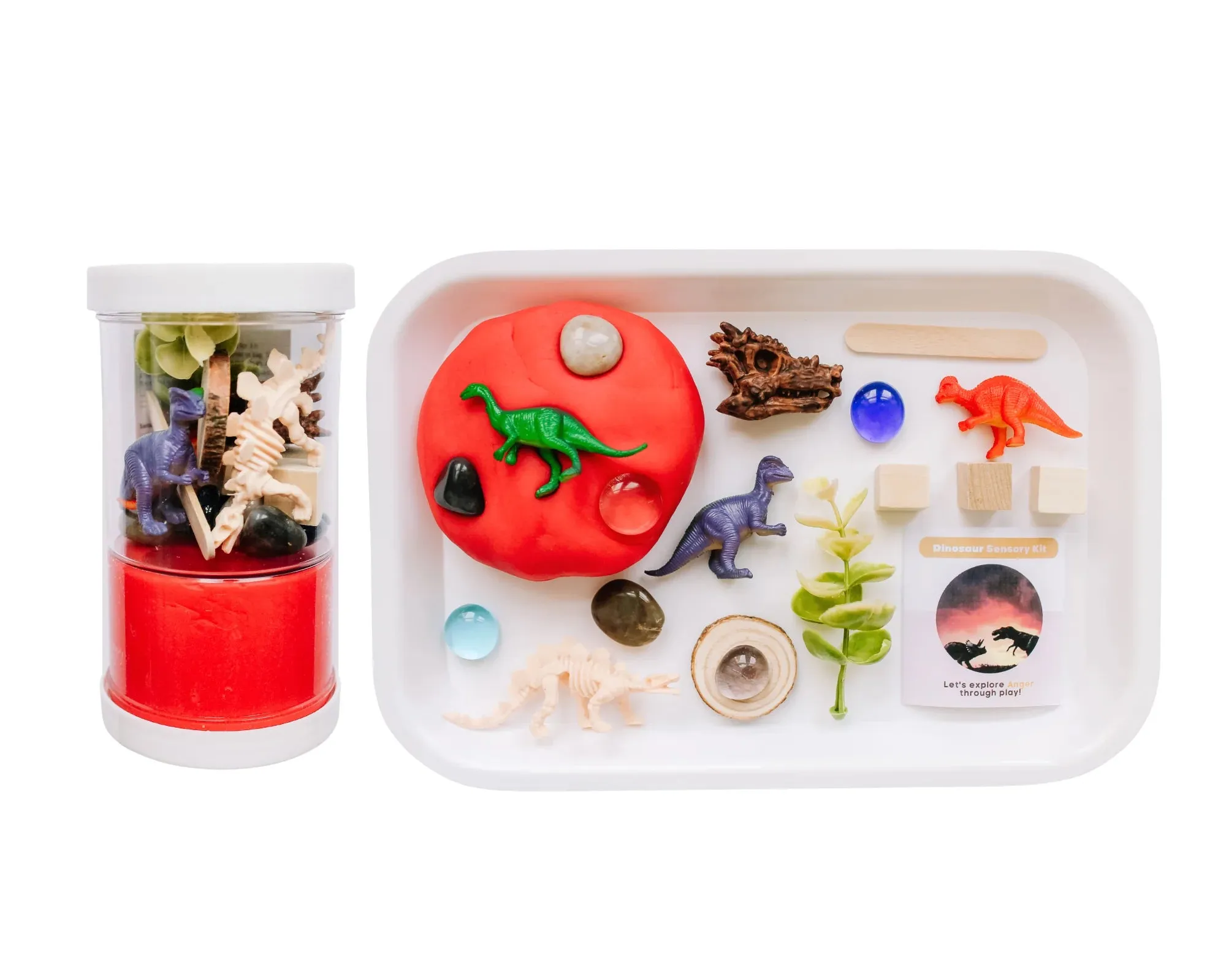 Sensory Kit, Dinos