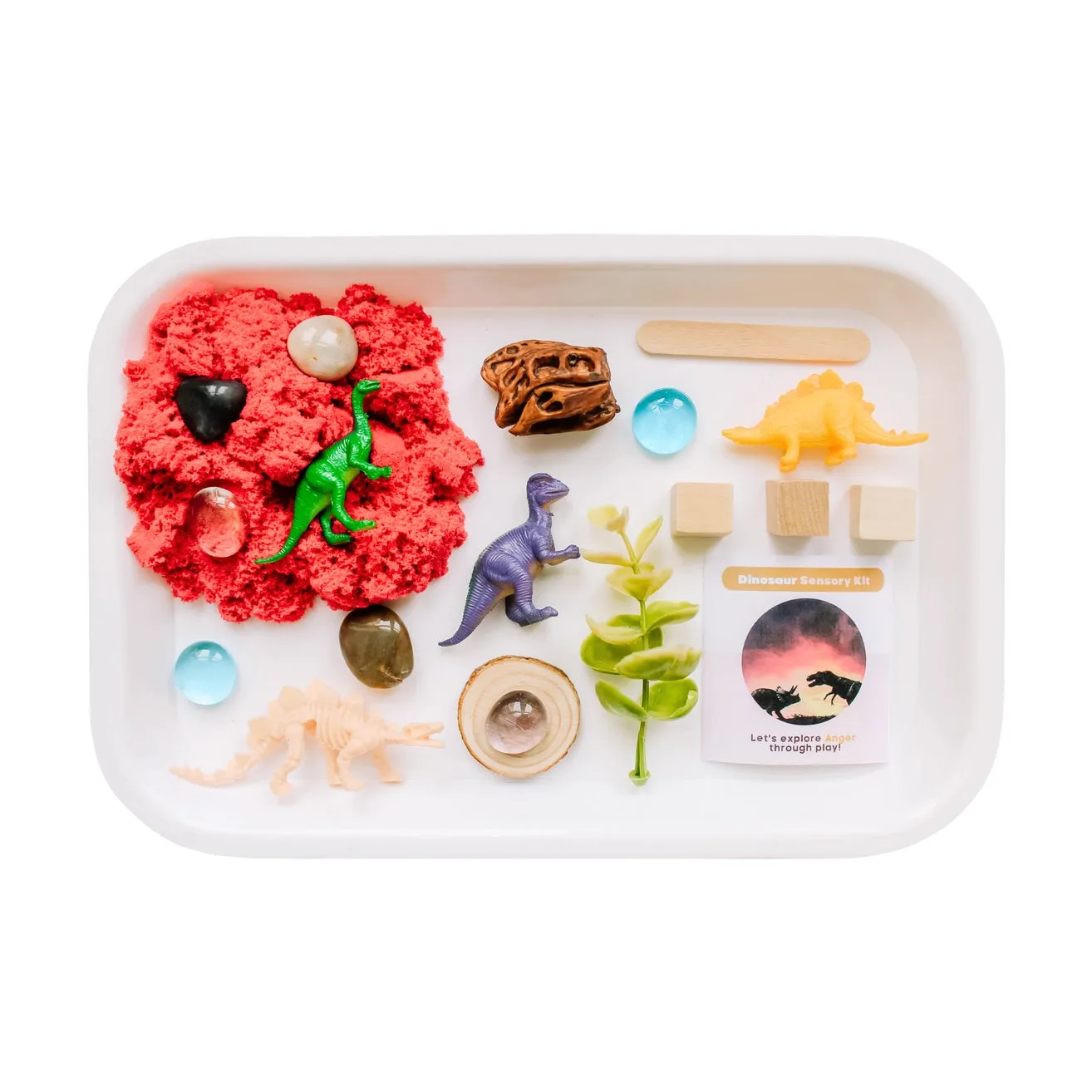 Sensory Kit, Dinos