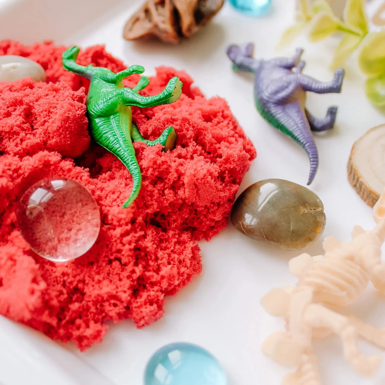Sensory Kit, Dinos