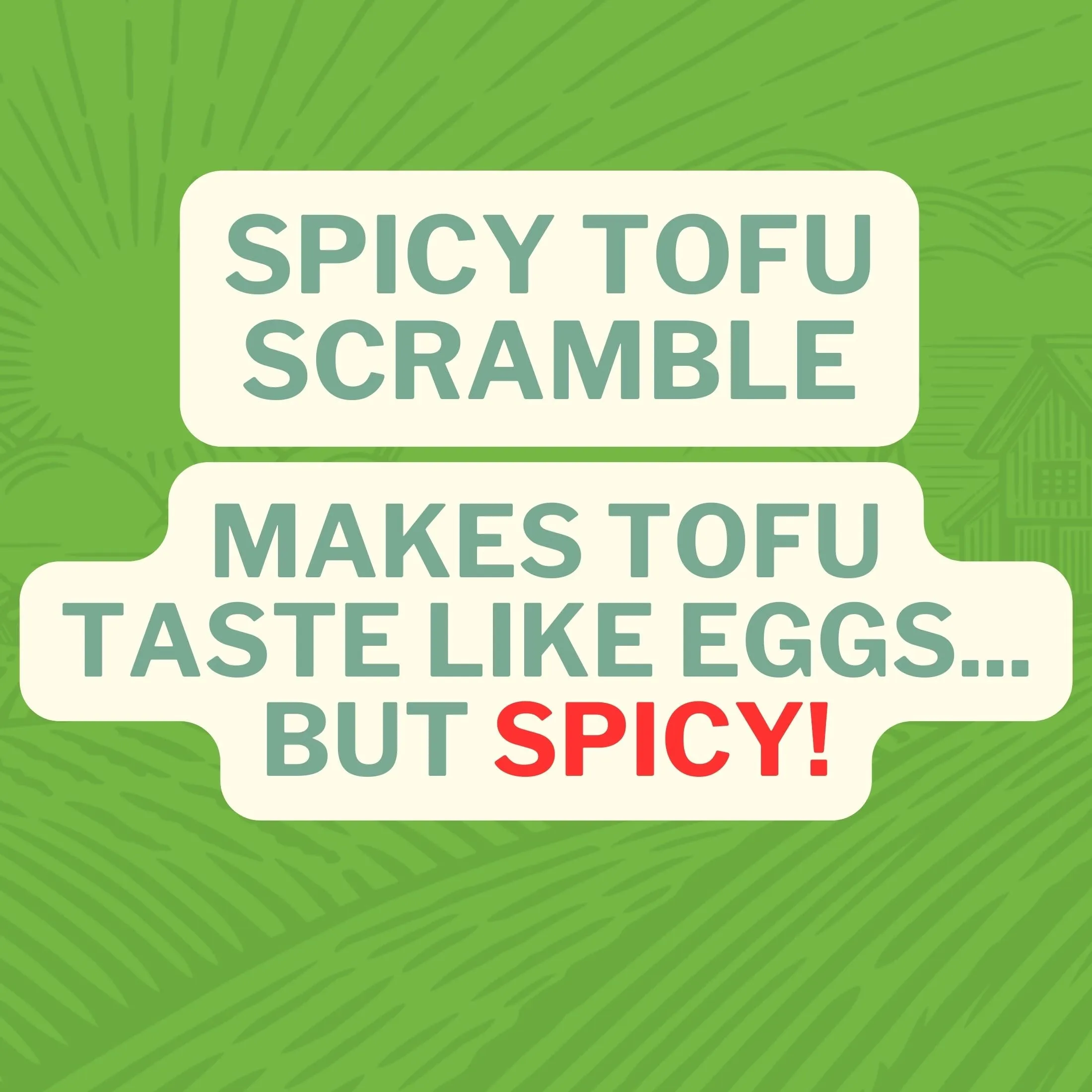 Tofu Scramble® Spicy Seasoning