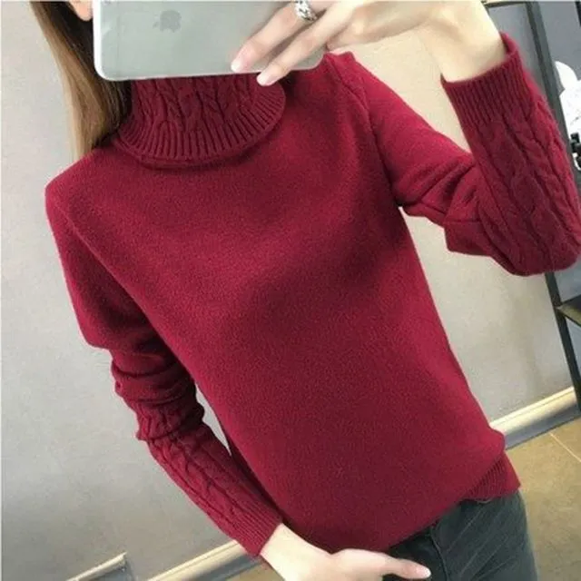 Women Turtleneck/ Long Sleeve